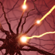 Image for article titled Shocks to the brain temporarily rouse people from vegetative states